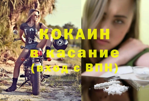 трава Гусиноозёрск