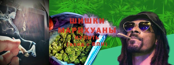 соль ск Горняк