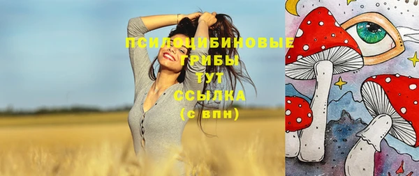 соль ск Горняк