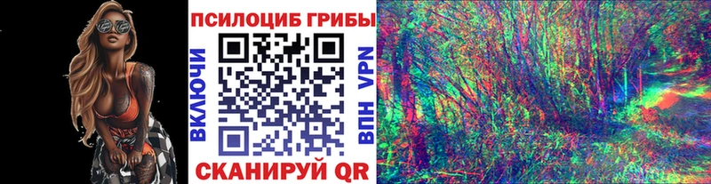 Псилоцибиновые грибы мицелий  Ельня 